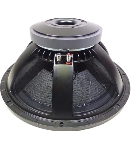 Amazon.com: RCF L18P300 18-Inch Car and DJ Woofer, Black : Electronics